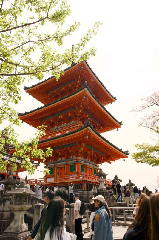 Kyoto 3