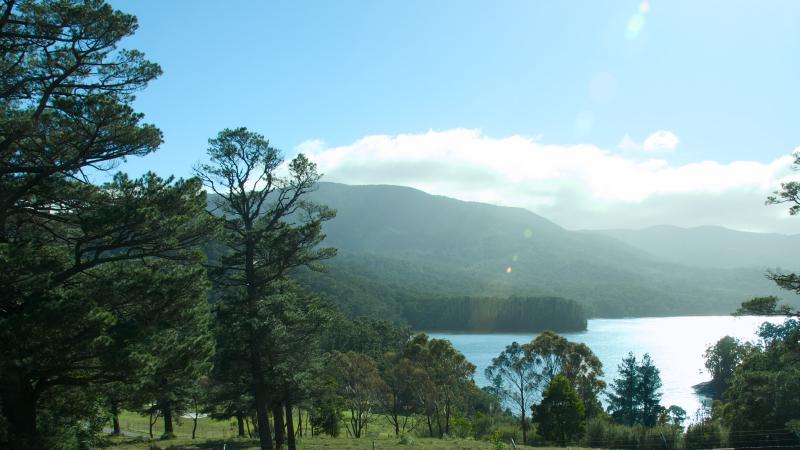 Random Scenic Point